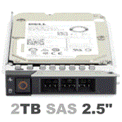 0TMVN7 Dell G14 2-TB 12G 7.2K 2.5 NL SAS w/DXD9H - фото 29450