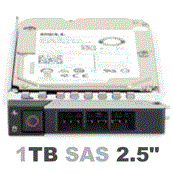 400-ASME Dell G14 1-TB 12G 7.2K 2.5 NL SAS w/DXD9H - фото 34009