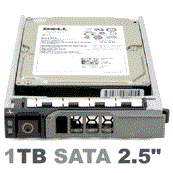 400-AESQ Dell 1-TB 7.2K 2.5 SATA w/G176J