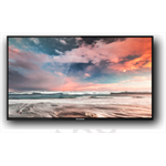 Профессиональный дисплей GoodView 55" AD display, 600cd/m2, 24/7, FHD